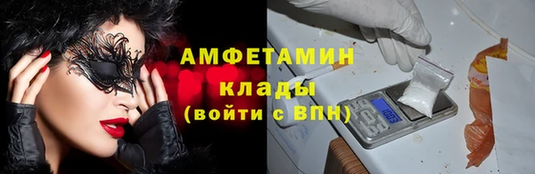 гашик Алексеевка