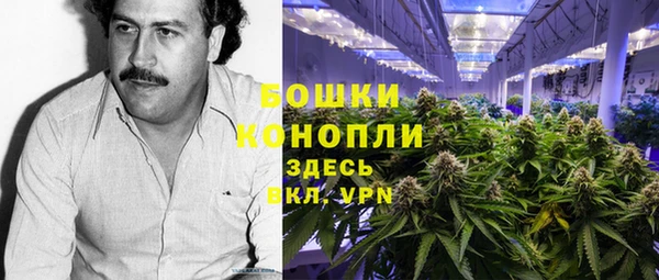 прущая мука Алзамай