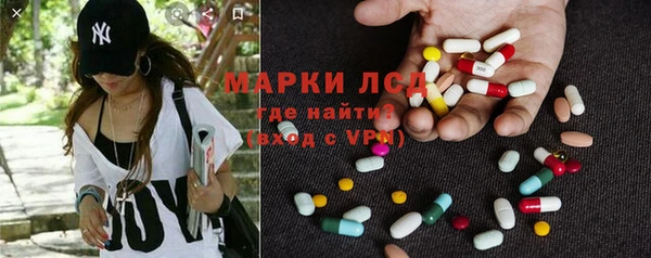 гашик Алексеевка