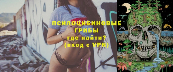 гашик Алексеевка