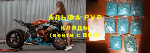 гашик Алексеевка