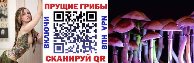 Псилоцибиновые грибы Cubensis дарк нет официальный сайт Нарьян-Мар
