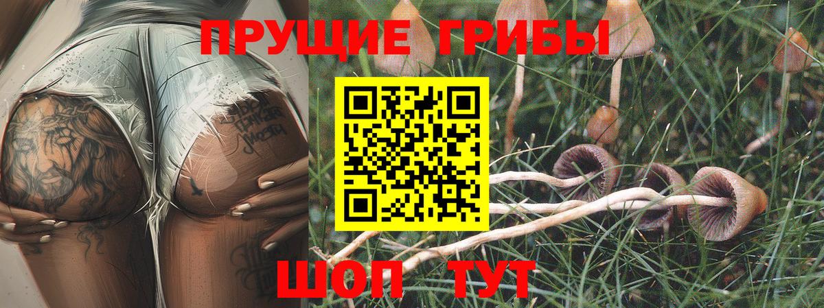 Галлюциногенные грибы прущие грибы  купить наркотики сайты  Вход с VPN  Нарьян-Мар  Галлюциногенные грибы мухоморы 