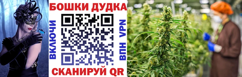Бошки марихуана White Widow Нарьян-Мар